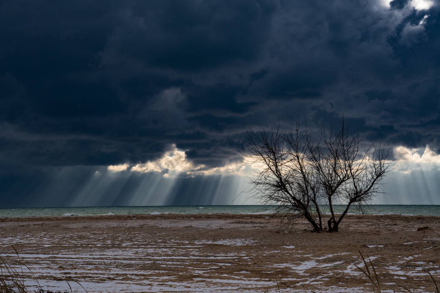 , Кривцов Андрей