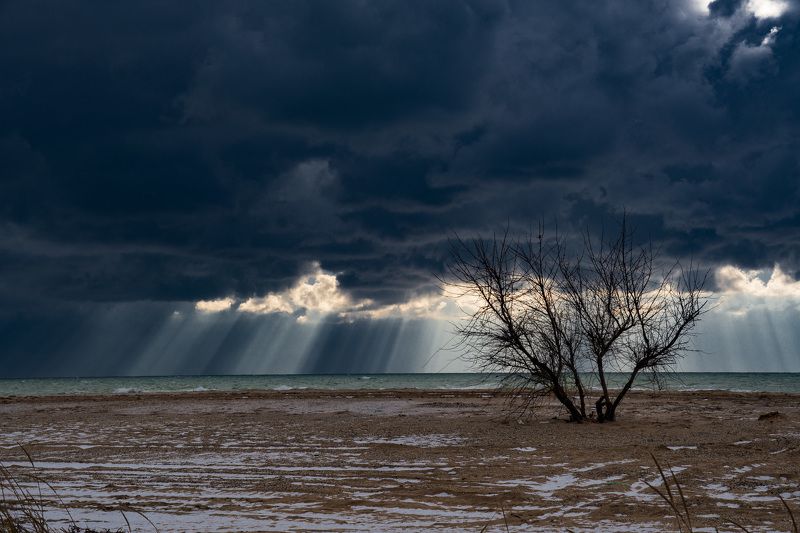 *** фото превью