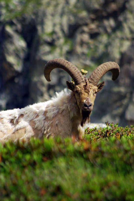 Взгляд ... фото превью