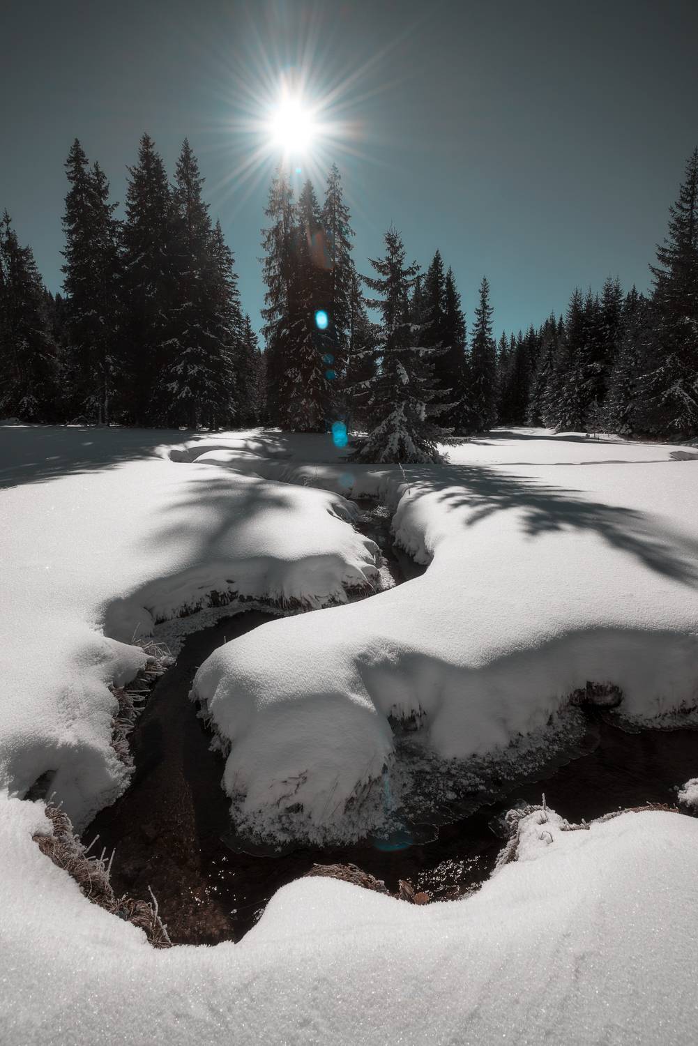 , Mariyana Atanasova - Lucero