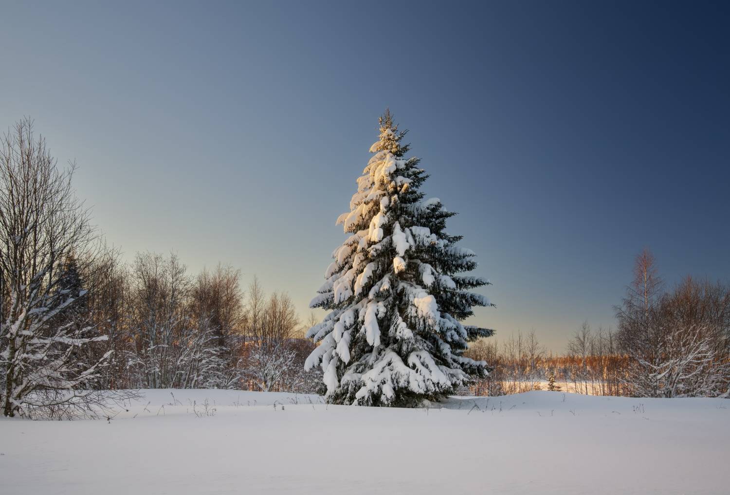 , Шишпанов Игорь