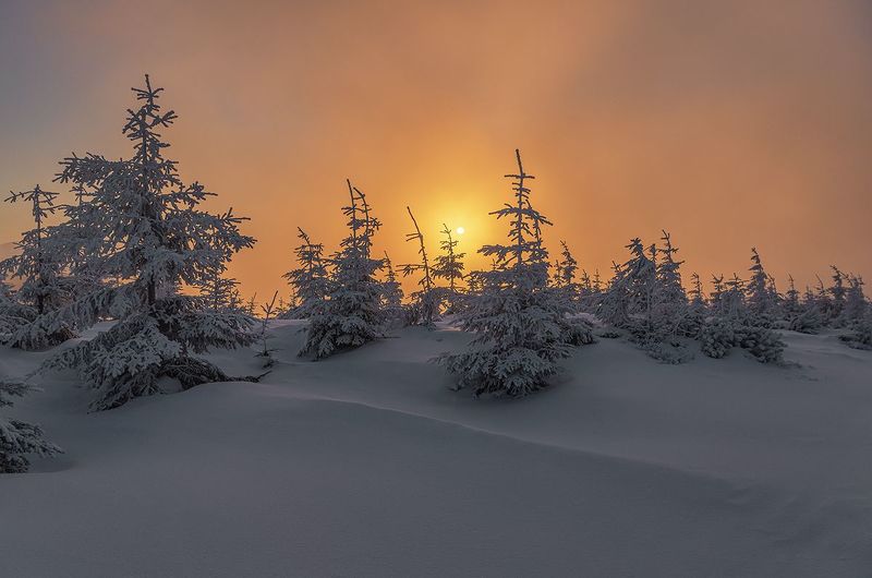 O poranku фото превью