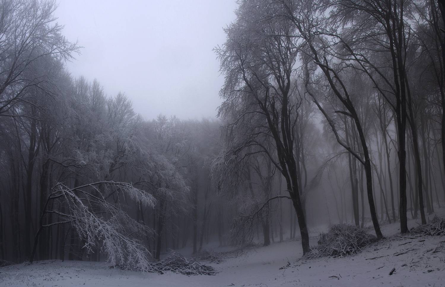 , Юрий Коваленко