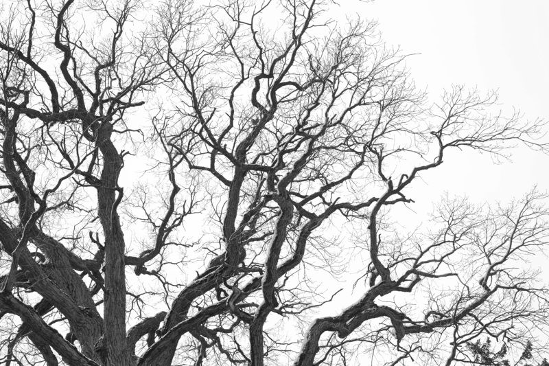 Автограф фото превью