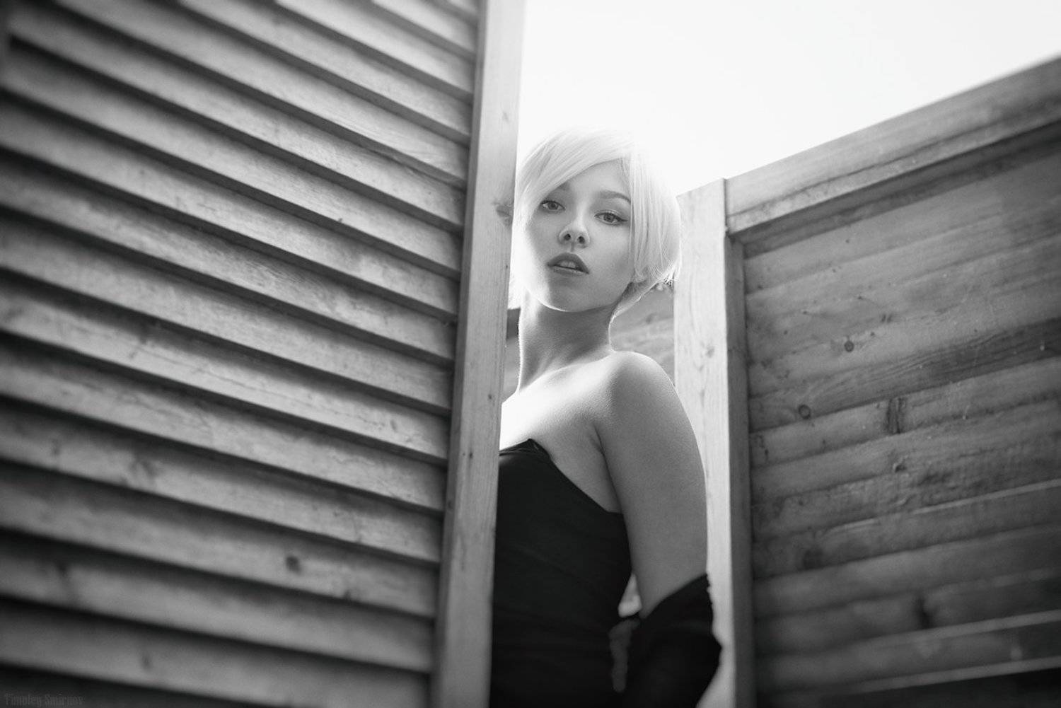 , Тимофей Смирнов