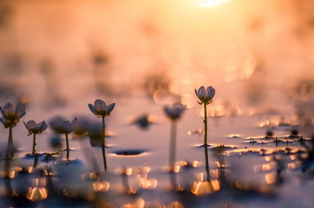 , Вячеслав Мищенко