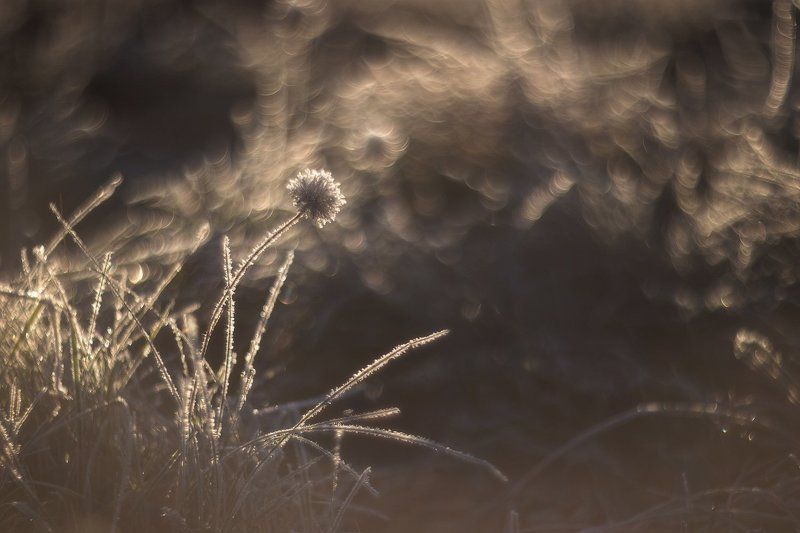 helios, гелиос Одним октябрьским утром фото превью