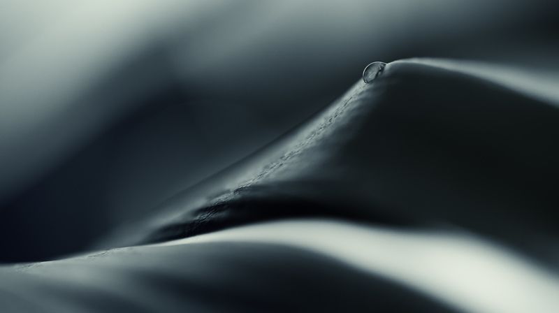 * фото превью