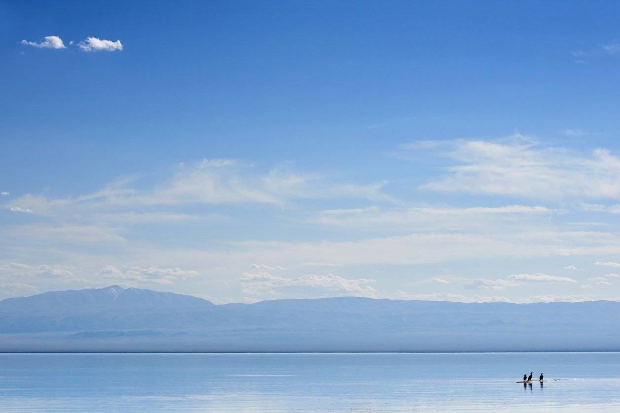 монголия, озеро, горы, птицы, облака, Сергей Романчук