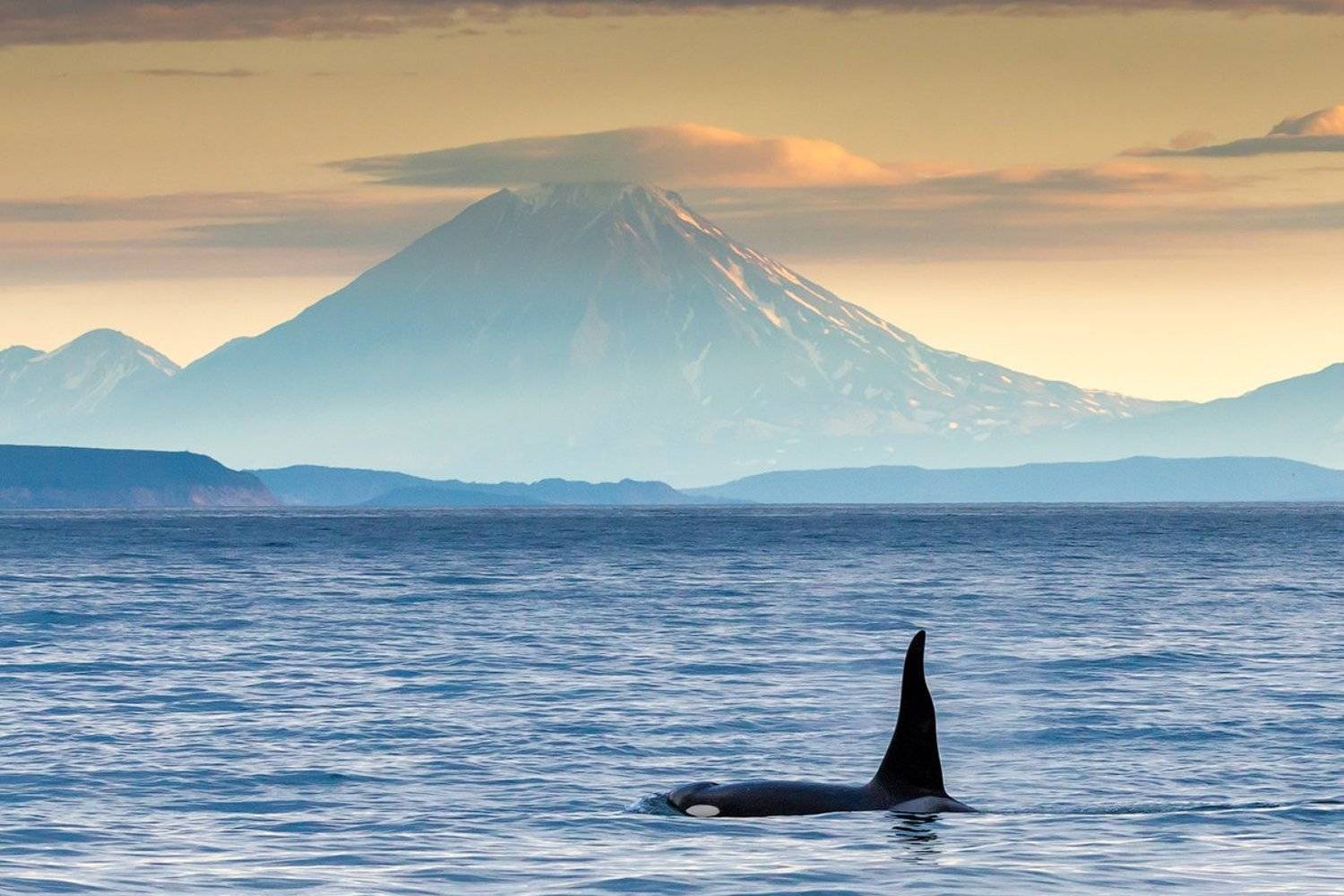 Вулкан, Камчатка, Косатка, Океан, Рассвет, Денис Будьков