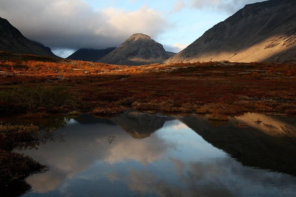 , Иваненко Светлана