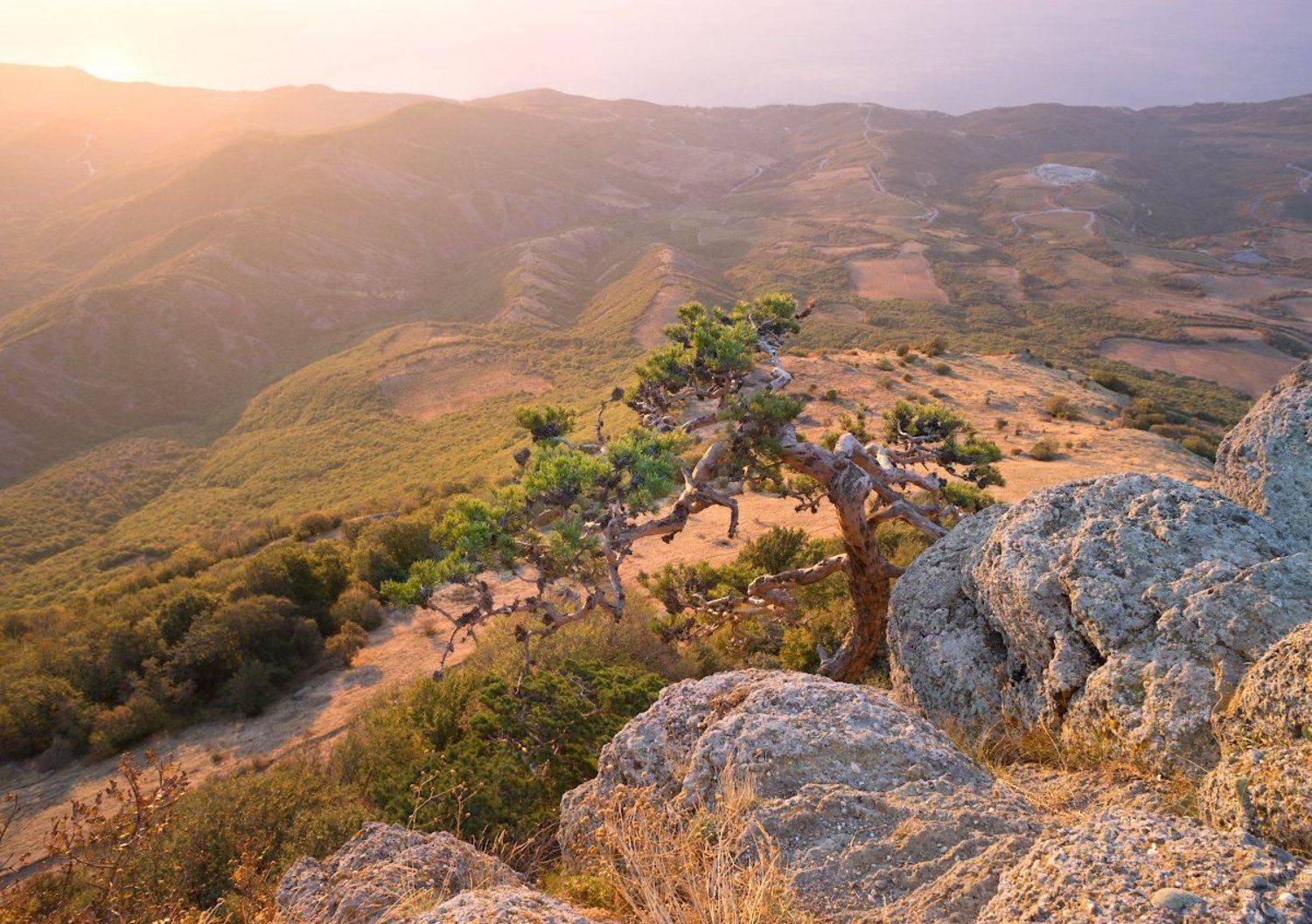 Sony, Гора, Демерджи, Камни, Крым, Рассвет, Свет, Тепло, Утро, Пеккер Сергей