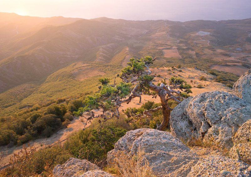 Sony, Гора, Демерджи, Камни, Крым, Рассвет, Свет, Тепло, Утро Дыхание света фото превью