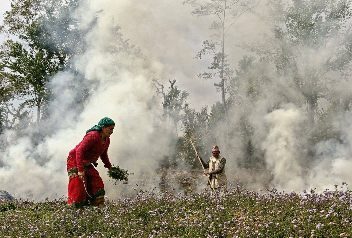 nepal, people, spring, flowers, Ludmila Yilmaz