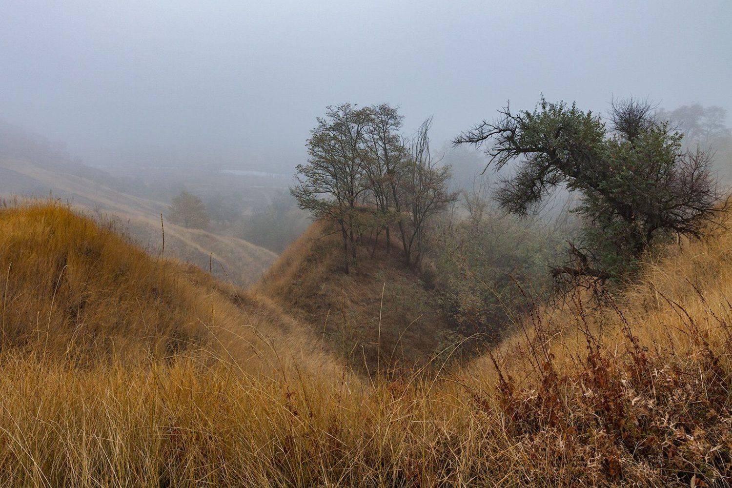 , Владимир Костылев