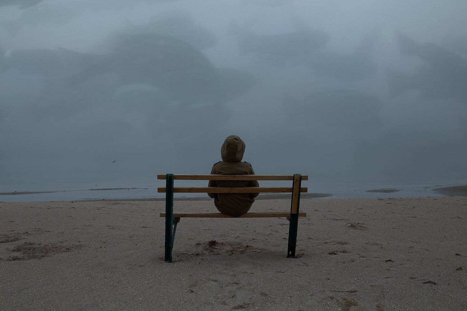 , Жибер Алексей