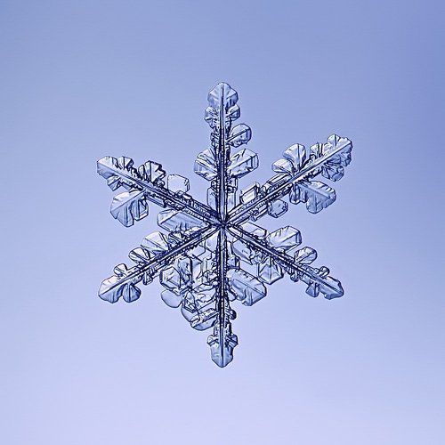 Падал прошлогодний снег