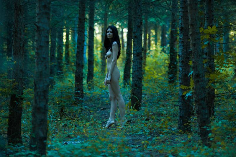 Back to nature фото превью