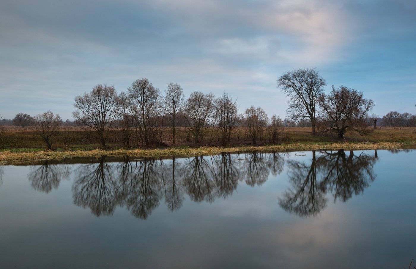 , Александр Бредихин