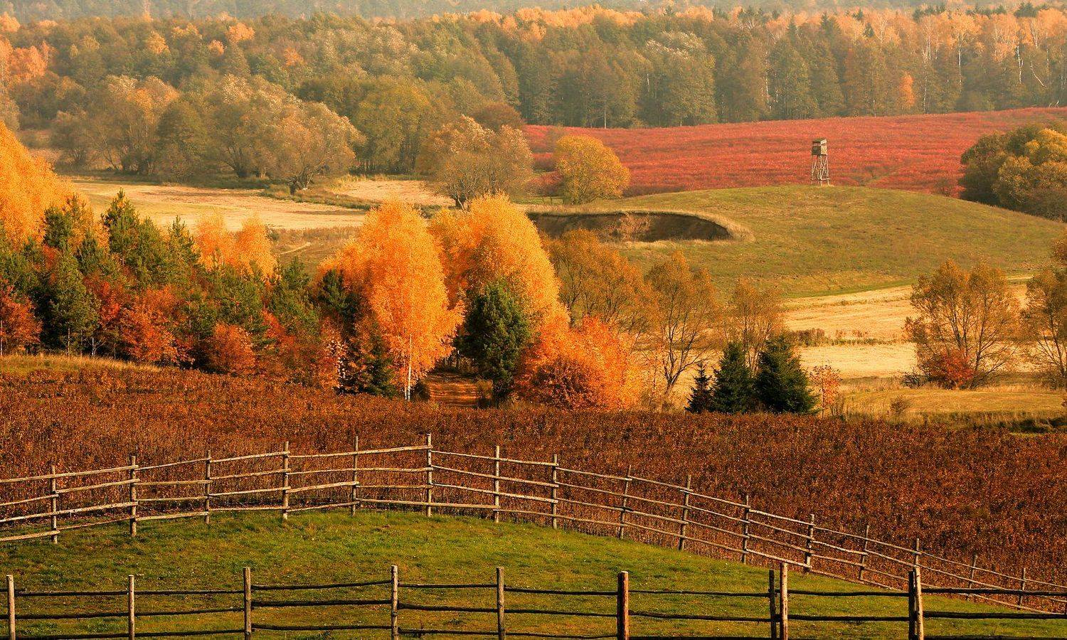 , Grzegorz Przyborowski