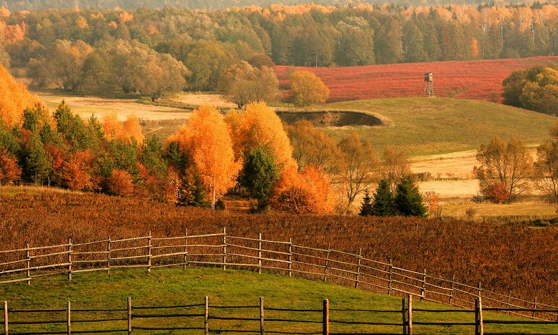 autumn фото превью
