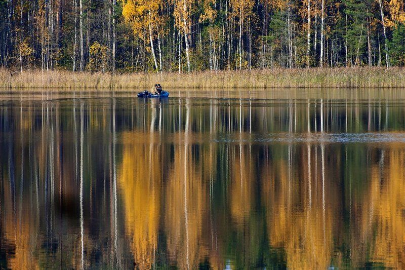 Pro рыбалку в стране золотых грёз…