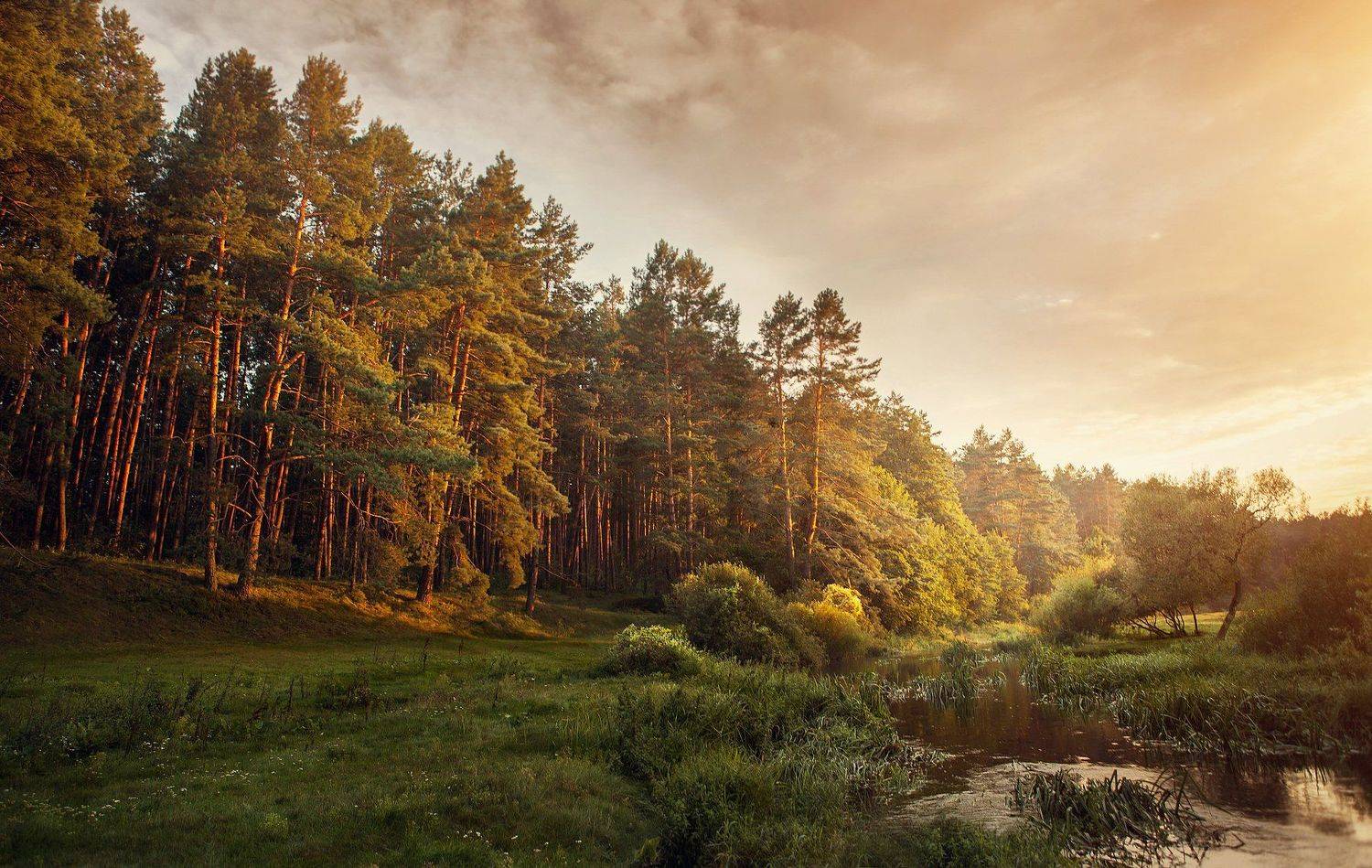 , Yevhen Kobylinskyi