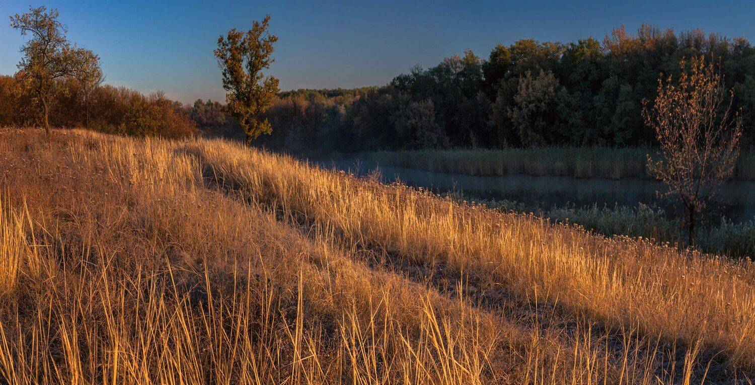 , Игорь Мелекесцев