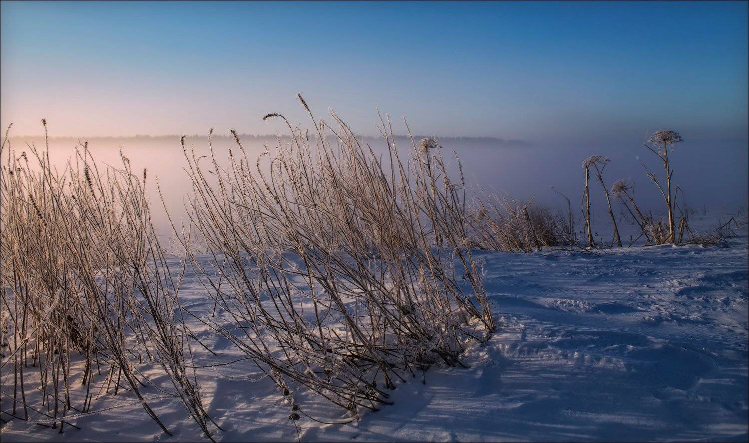 зима, рассвет, февраль, Сергей Шабуневич