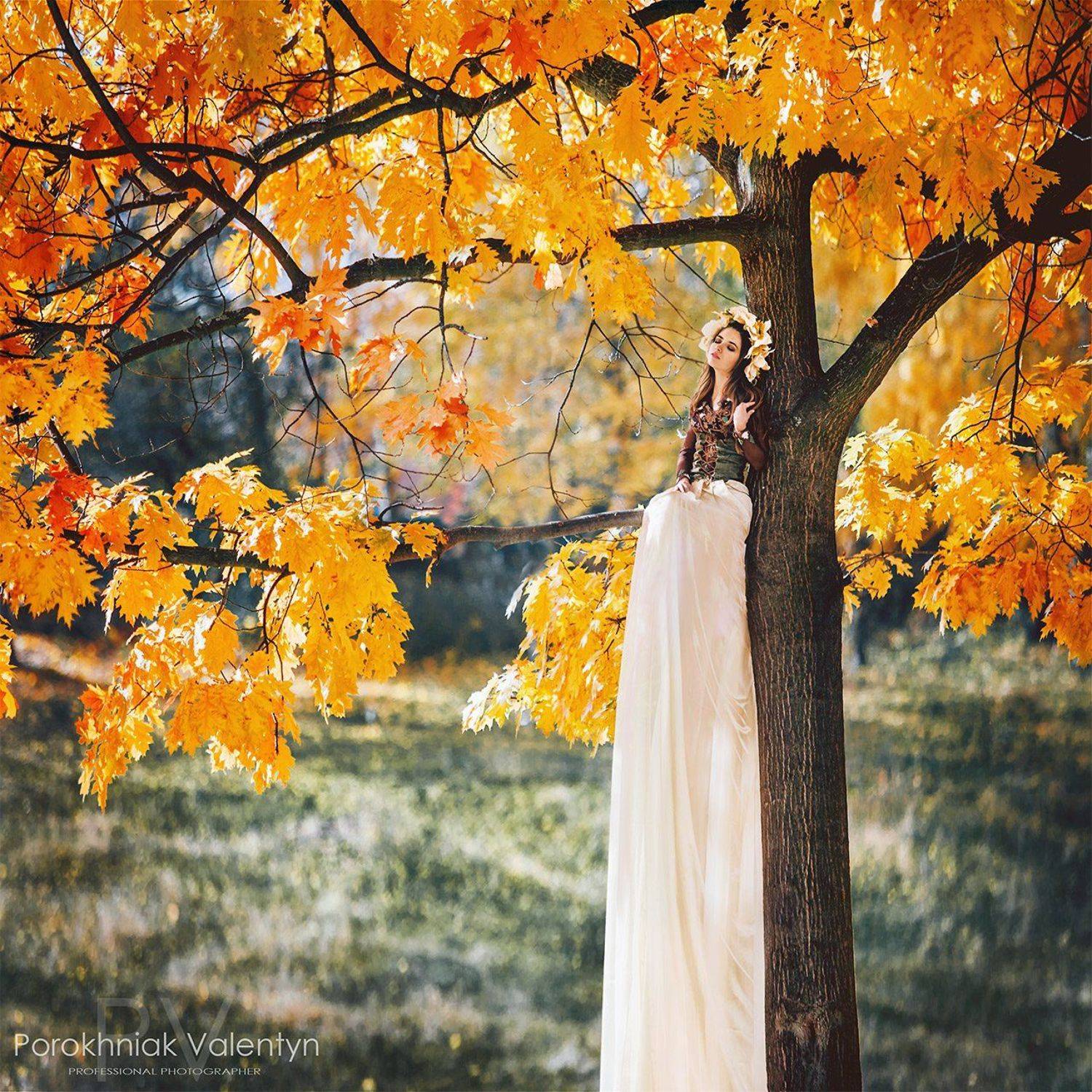 Длинное, Желтые, Листья, На дереве, Осень девушка, Платье., PV