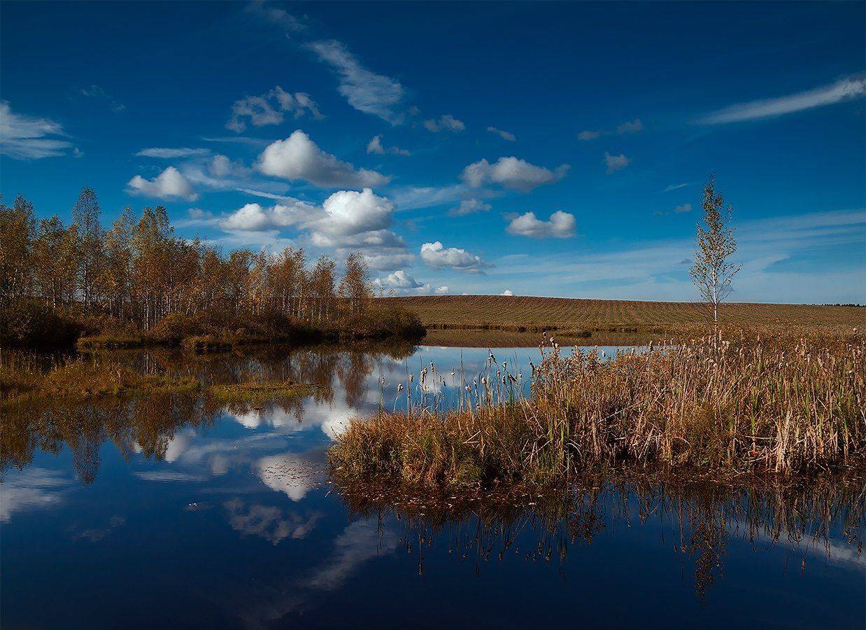 , Владимир Перепечаев