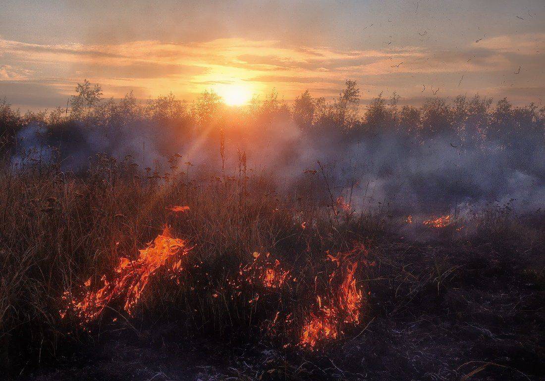 , Ярослав Тюрменко (Jaremi)