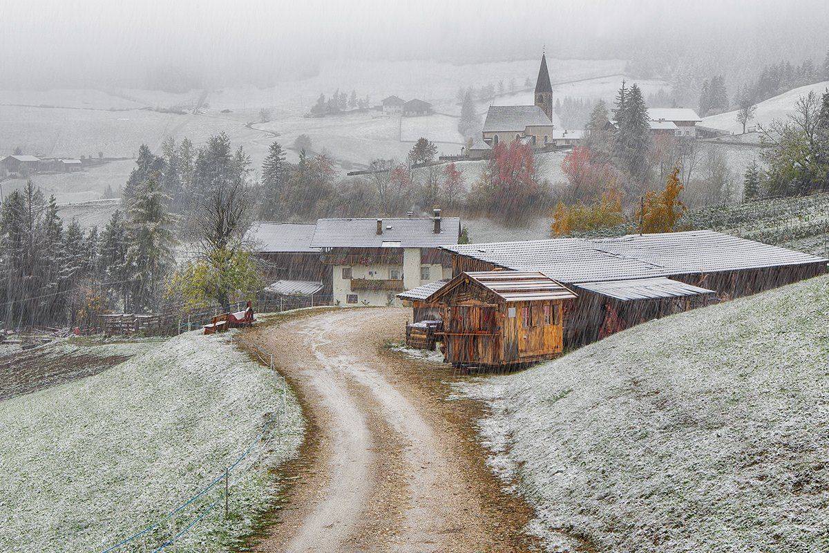 , Игорь Дубровский