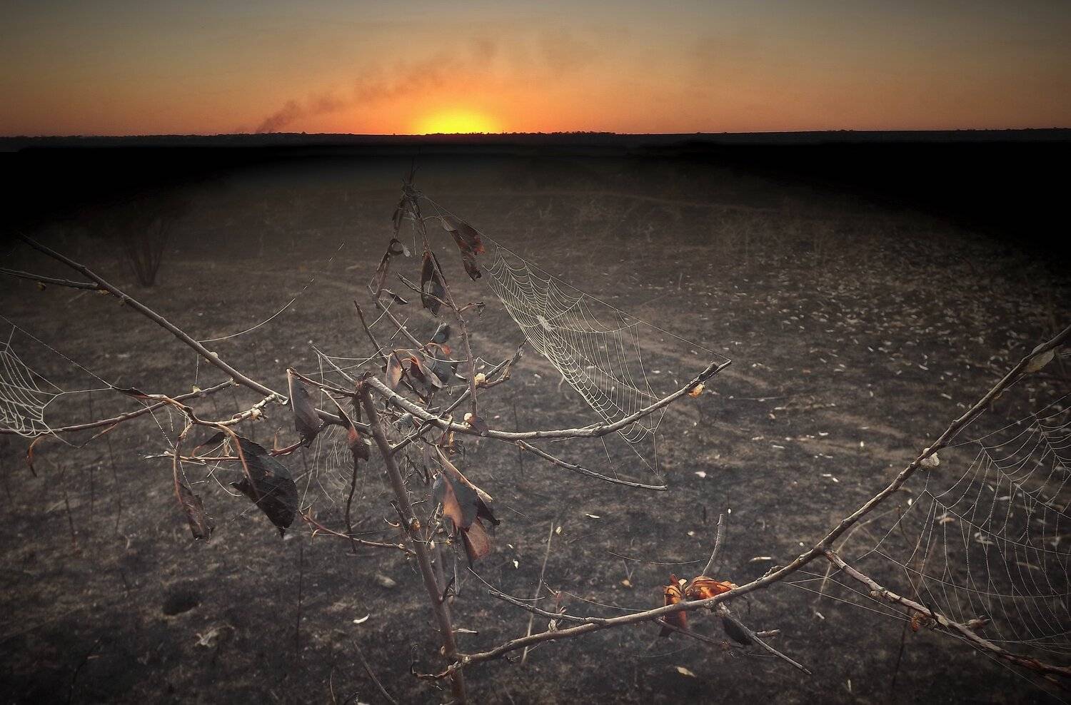 одесса, Сергей Кошелев