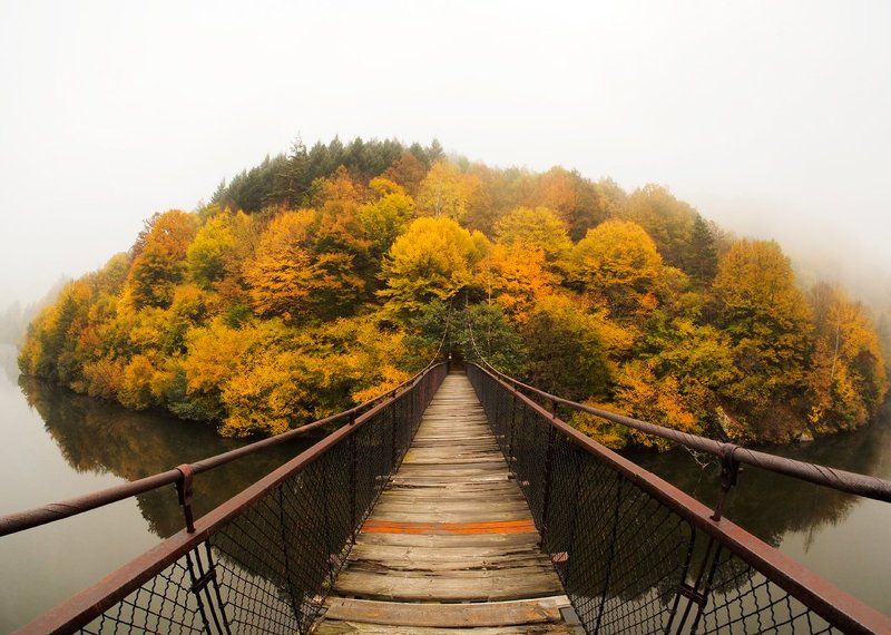 Bridge Bridge to Enchanted Island фото превью