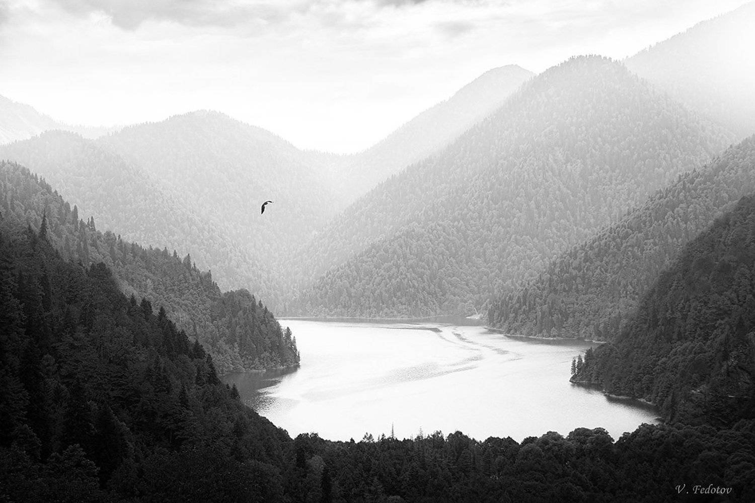 Абхазия, Горы, Озеро, Озеро Рица, Орёл, Федотов Вадим(Vadius)