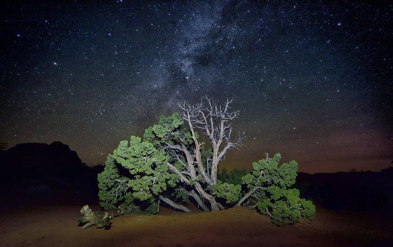 River of Stars фото превью