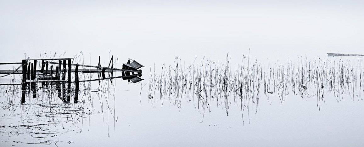 , Елена Лаврова