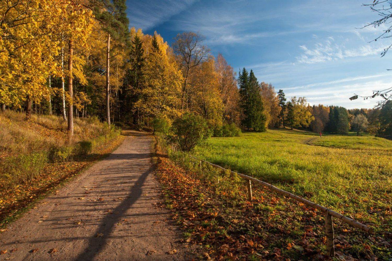 Павловский парк октябрь, Cмирнов Юрий
