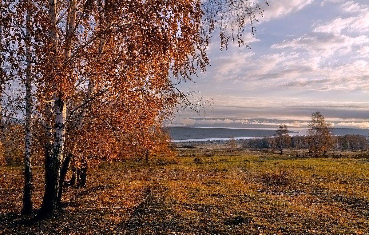 , Николай Морский