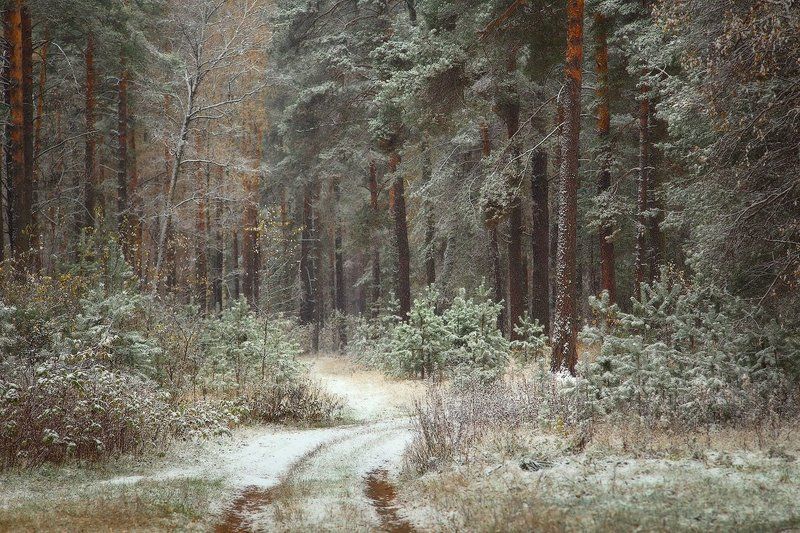 юпитер, 37-а, , 135, мм О первом снеге фото превью