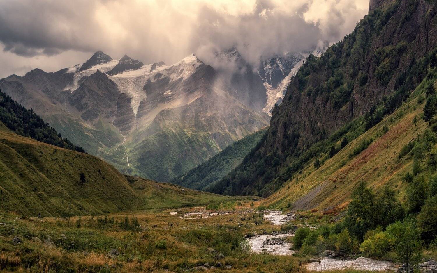 , Игорь Мелекесцев