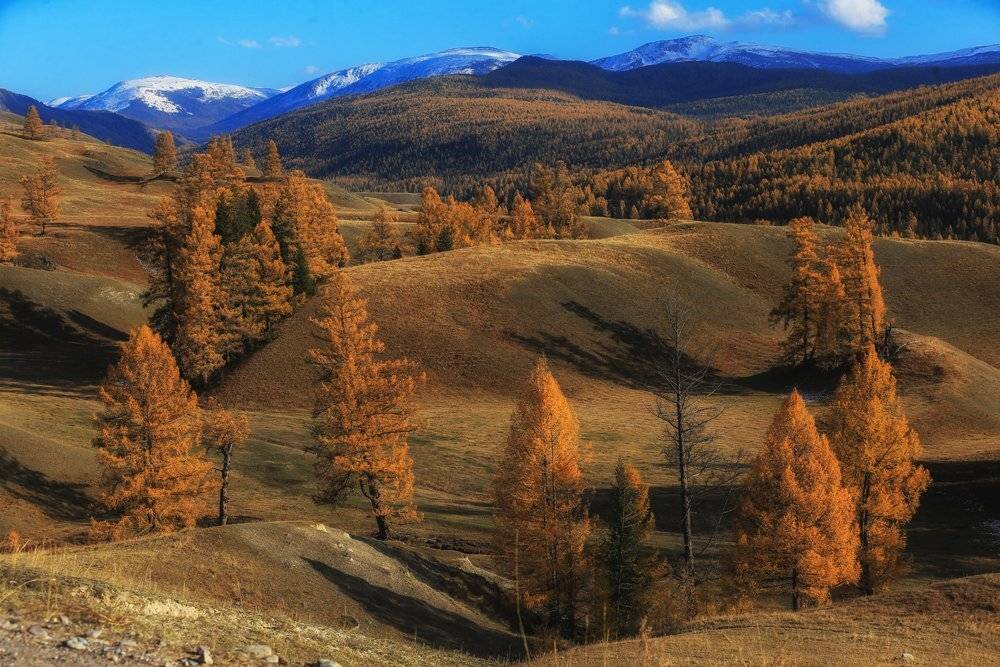 , Андрей Ершов