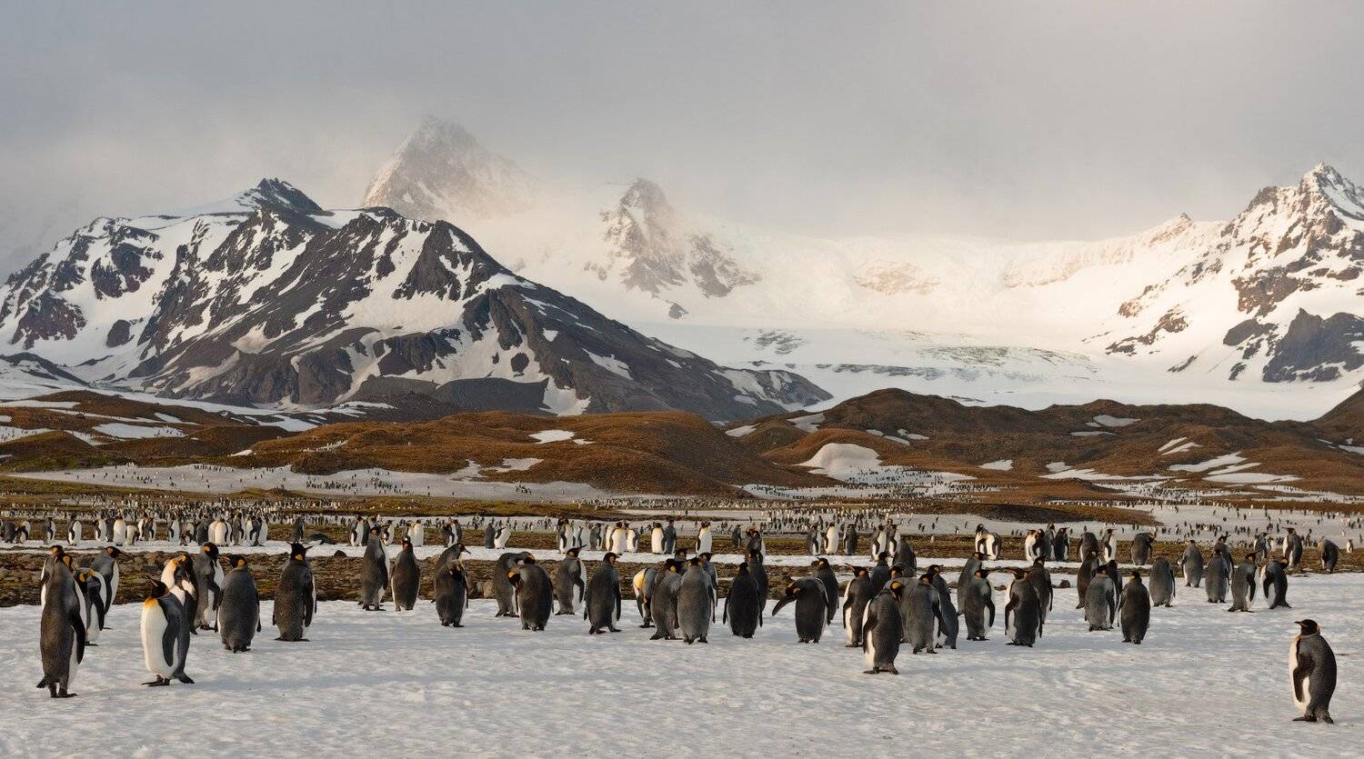 , Андрей Ведерников