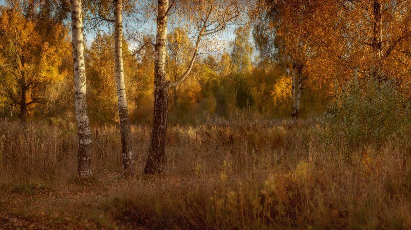 Уходило солнышко... фото превью