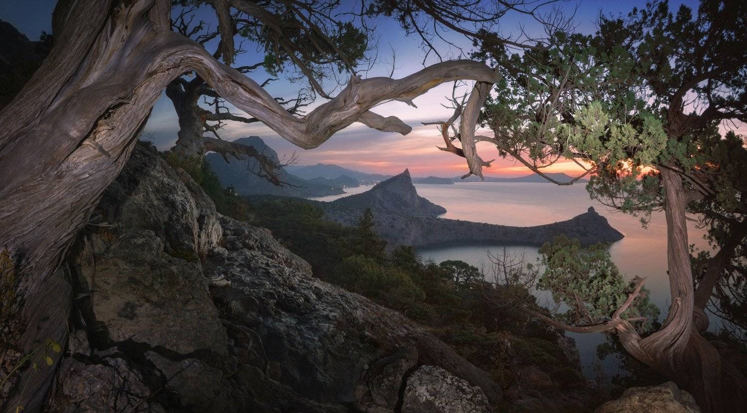 Новый Свет, Ilya Melikhov