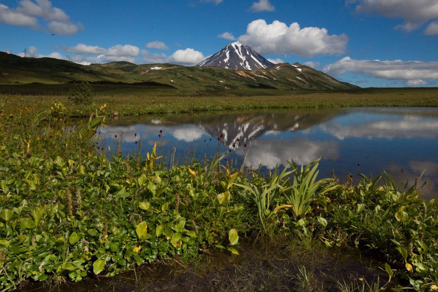 , Ирина Назарова