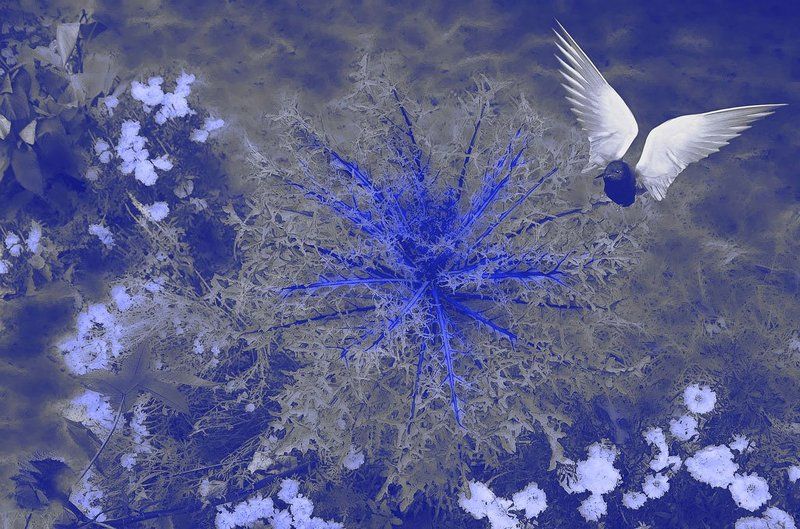 ***** фото превью