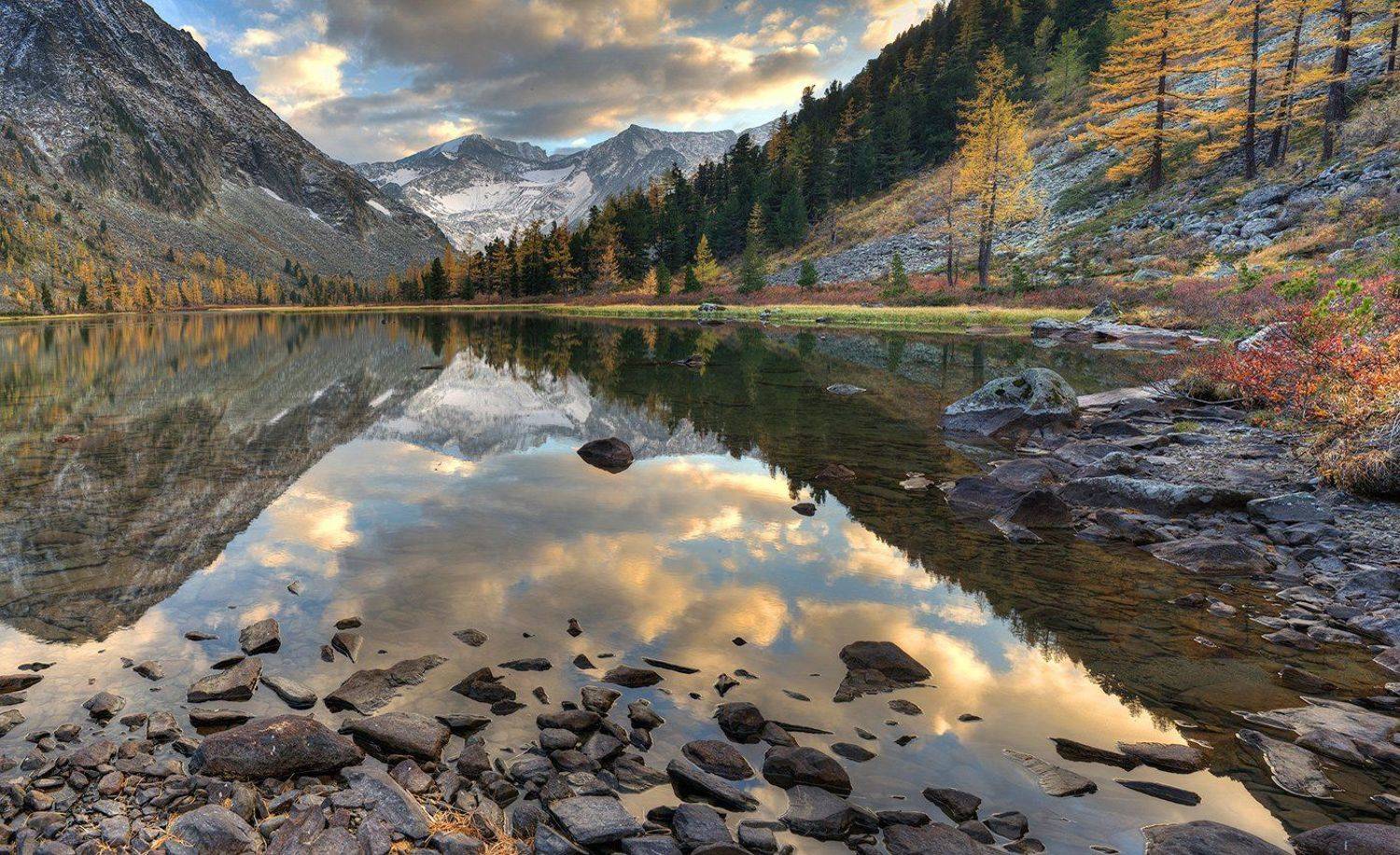 , Алексей Родак