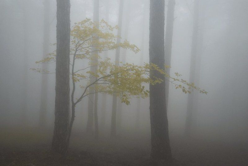 Фата-Моргана... фото превью